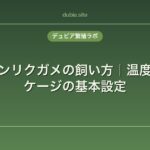 ヘルマンリクガメの飼い方｜温度・餌・ケージの基本設定