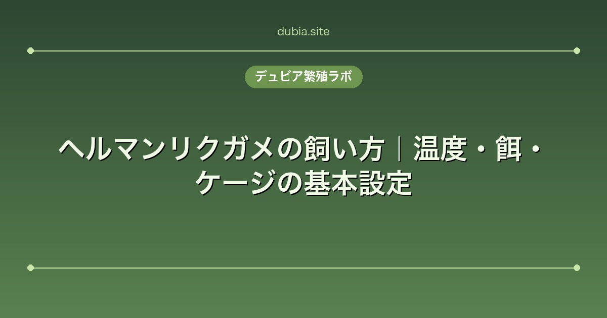 ヘルマンリクガメの飼い方｜温度・餌・ケージの基本設定