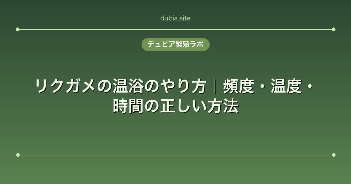 リクガメの温浴のやり方｜頻度・温度・時間の正しい方法