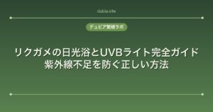 リクガメの日光浴とUVBライト完全ガイド｜紫外線不足を防ぐ正しい方法