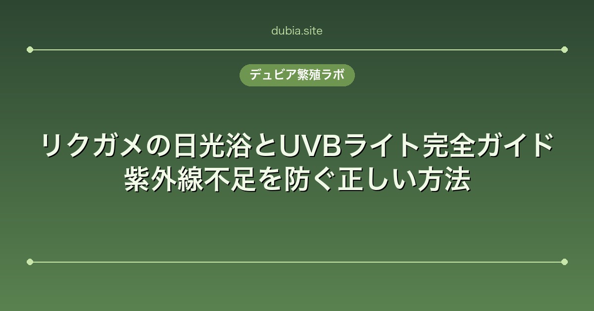 リクガメの日光浴とUVBライト完全ガイド｜紫外線不足を防ぐ正しい方法