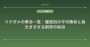 リクガメの寿命一覧｜種類別の平均寿命と長生きさせる飼育の秘訣