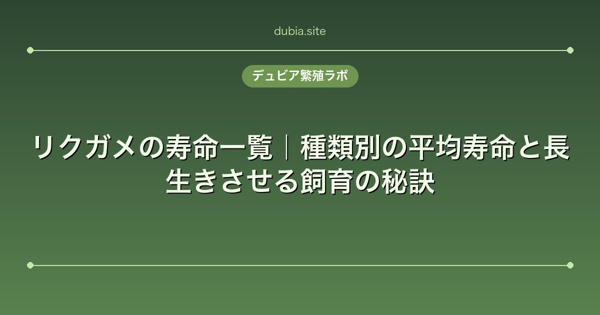 リクガメの寿命一覧|種類別の平均寿命と長生きさせる飼育の秘訣
