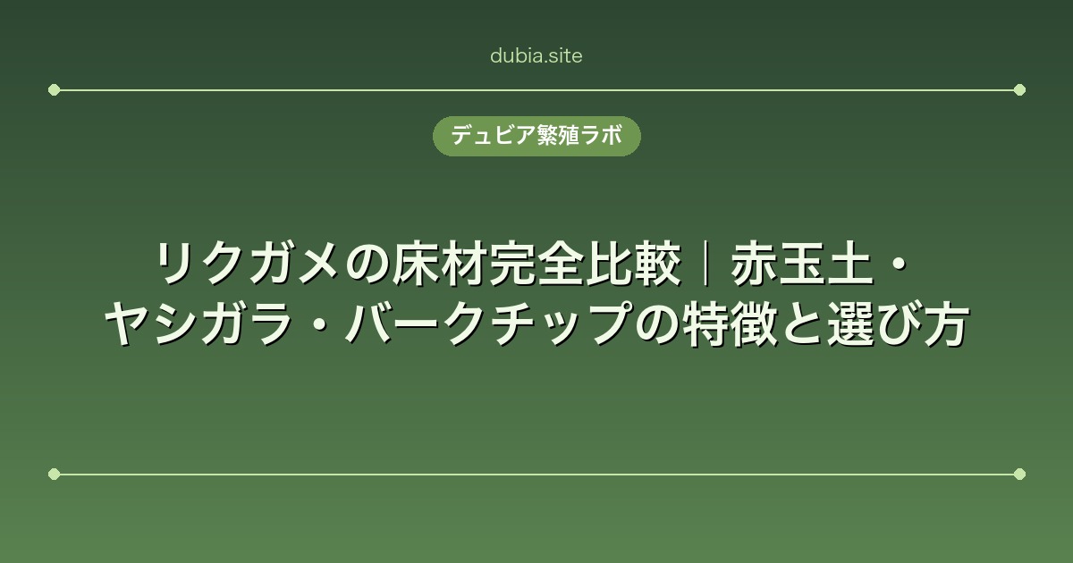 リクガメの床材完全比較｜赤玉土・ヤシガラ・バークチップの特徴と選び方