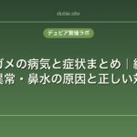 リクガメの病気と症状まとめ｜結石・甲羅異常・鼻水の原因と正しい対処法