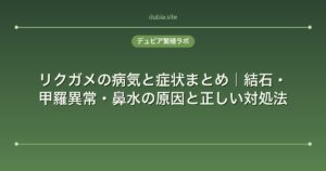 リクガメの病気と症状まとめ｜結石・甲羅異常・鼻水の原因と正しい対処法
