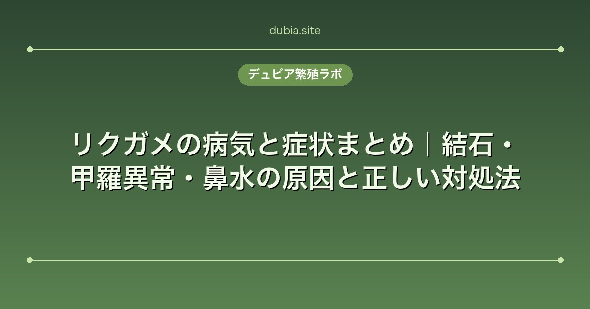 リクガメの病気と症状まとめ｜結石・甲羅異常・鼻水の原因と正しい対処法