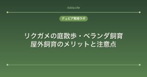 リクガメの庭散歩・ベランダ飼育｜屋外飼育のメリットと注意点