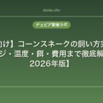 【初心者向け】コーンスネークの飼い方完全ガイド｜ケージ・温度・餌・費用まで徹底解説【2026年版】