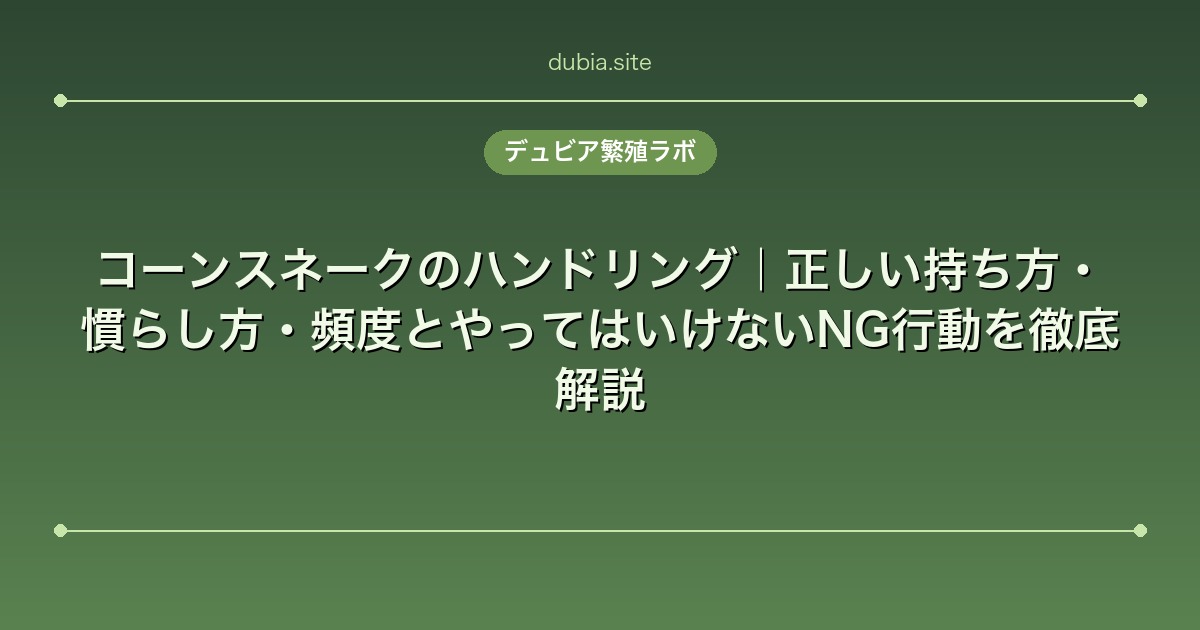 コーンスネークのハンドリング｜正しい持ち方・慣らし方・頻度とやってはいけないNG行動を徹底解説