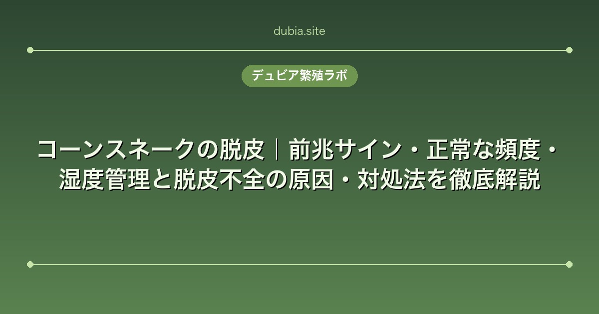 コーンスネークの脱皮|前兆サイン・正常な頻度・湿度管理と脱皮不全の原因・対処法を徹底解説