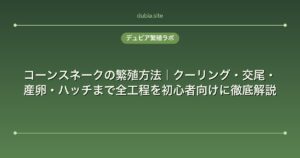コーンスネークの繁殖方法｜クーリング・交尾・産卵・ハッチまで全工程を初心者向けに徹底解説