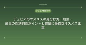 デュビアのオスメスの見分け方｜幼虫・成虫の性別判別ポイントと繁殖に最適なオスメス比率