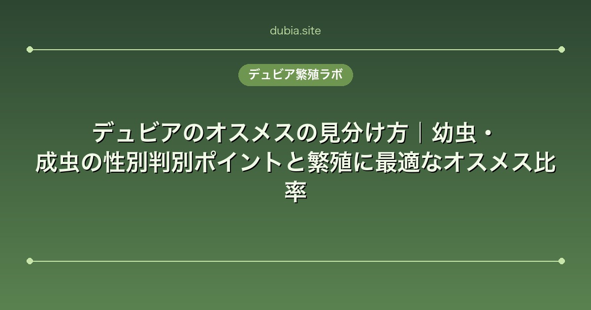 デュビアのオスメスの見分け方｜幼虫・成虫の性別判別ポイントと繁殖に最適なオスメス比率