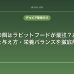 デュビアの餌はラビットフードが最強？おすすめの餌と与え方・栄養バランスを徹底解説