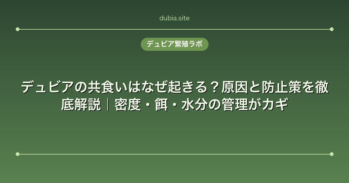 デュビアの共食いはなぜ起きる？原因と防止策を徹底解説｜密度・餌・水分の管理がカギ