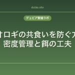 コオロギの共食いを防ぐ方法｜密度管理と餌の工夫