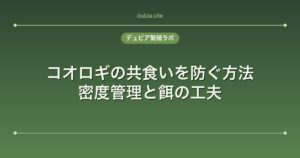 コオロギの共食いを防ぐ方法｜密度管理と餌の工夫