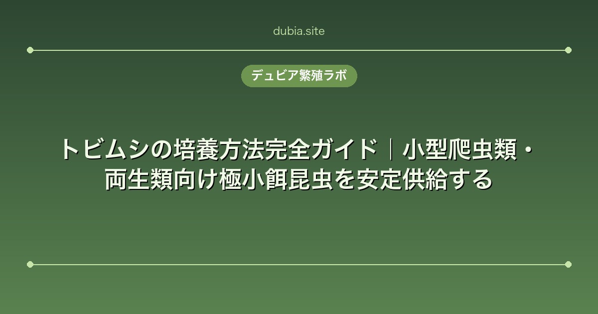 トビムシの培養方法完全ガイド｜小型爬虫類・両生類向け極小餌昆虫を安定供給する