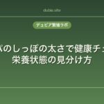 レオパのしっぽの太さで健康チェック｜栄養状態の見分け方