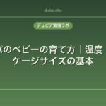 レオパのベビーの育て方｜温度・餌・ケージサイズの基本