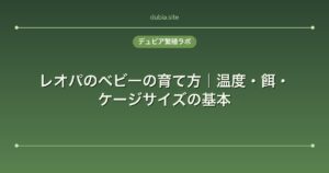 レオパのベビーの育て方｜温度・餌・ケージサイズの基本