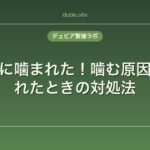 レオパに噛まれた！噛む原因と噛まれたときの対処法