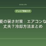 レオパの夏の暑さ対策｜エアコンなしでも大丈夫？冷却方法まとめ