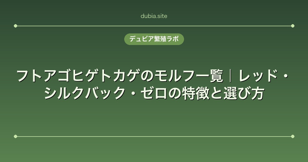 フトアゴヒゲトカゲのモルフ一覧｜レッド・シルクバック・ゼロの特徴と選び方