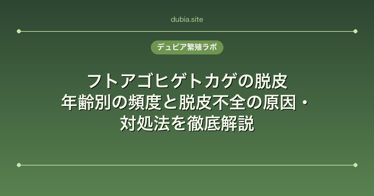 フトアゴヒゲトカゲの脱皮｜年齢別の頻度と脱皮不全の原因・対処法を徹底解説