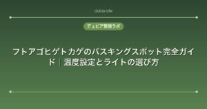 フトアゴヒゲトカゲのバスキングスポット完全ガイド｜温度設定とライトの選び方