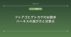 フトアゴヒゲトカゲのお散歩｜ハーネスの選び方と注意点
