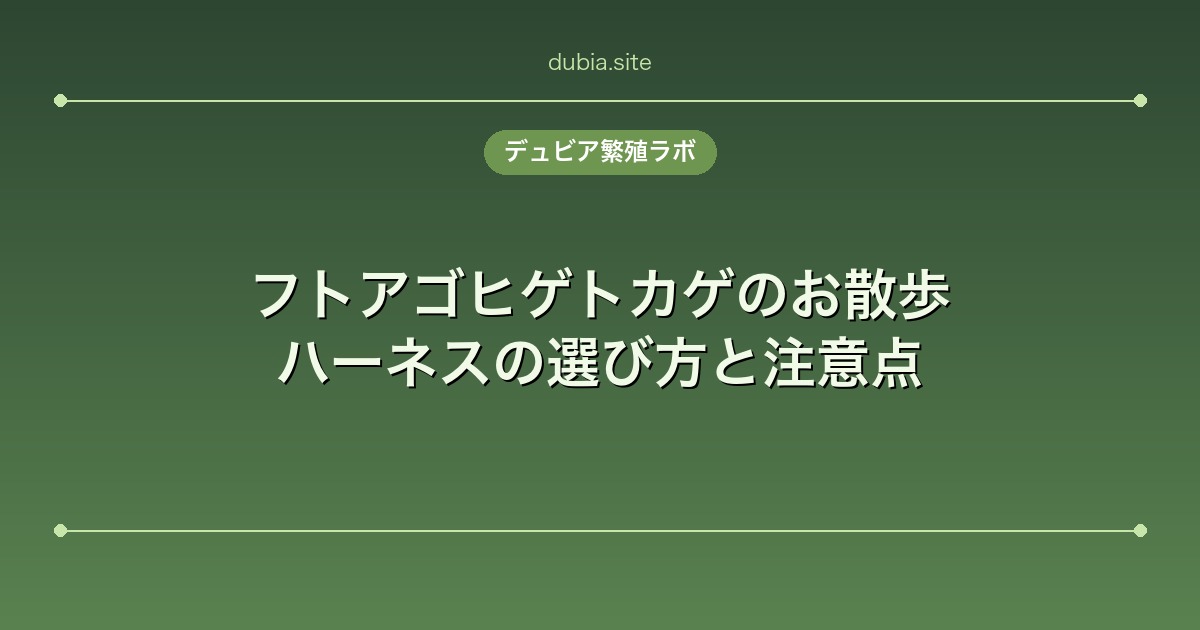 フトアゴヒゲトカゲのお散歩｜ハーネスの選び方と注意点