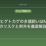 フトアゴヒゲトカゲの多頭飼いはNG？同居のリスクと例外を徹底解説