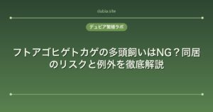 フトアゴヒゲトカゲの多頭飼いはNG？同居のリスクと例外を徹底解説