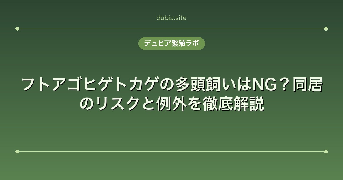 フトアゴヒゲトカゲの多頭飼いはNG？同居のリスクと例外を徹底解説