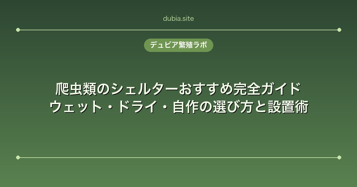爬虫類のシェルターおすすめ完全ガイド｜ウェット・ドライ・自作の選び方と設置術