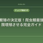 デュビア繁殖の決定版！爬虫類最強の餌を無限増殖させる完全ガイド