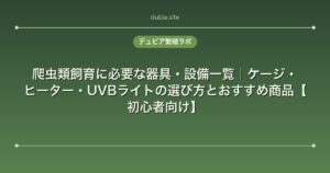 爬虫類飼育に必要な器具・設備一覧｜ケージ・ヒーター・UVBライトの選び方とおすすめ商品【初心者向け】