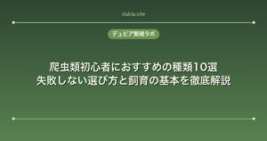 爬虫類初心者におすすめの種類10選｜失敗しない選び方と飼育の基本を徹底解説
