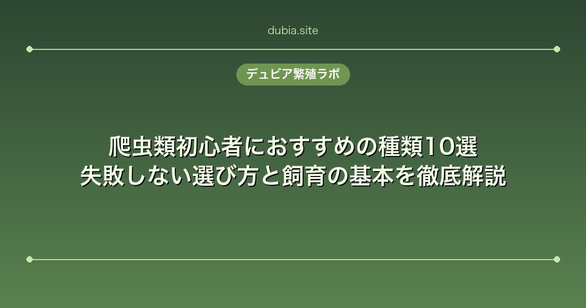 爬虫類初心者におすすめの種類10選｜失敗しない選び方と飼育の基本を徹底解説