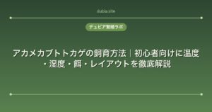 アカメカブトトカゲの飼育方法｜初心者向けに温度・湿度・餌・レイアウトを徹底解説