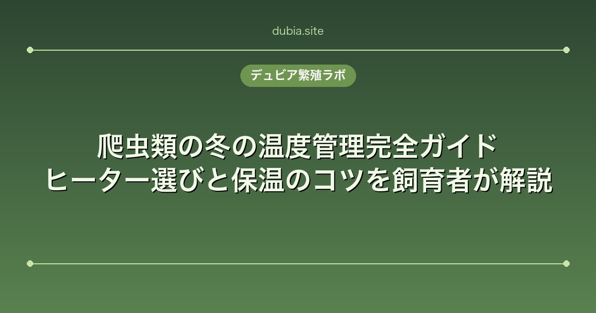 爬虫類の冬の温度管理完全ガイド｜ヒーター選びと保温のコツを飼育者が解説