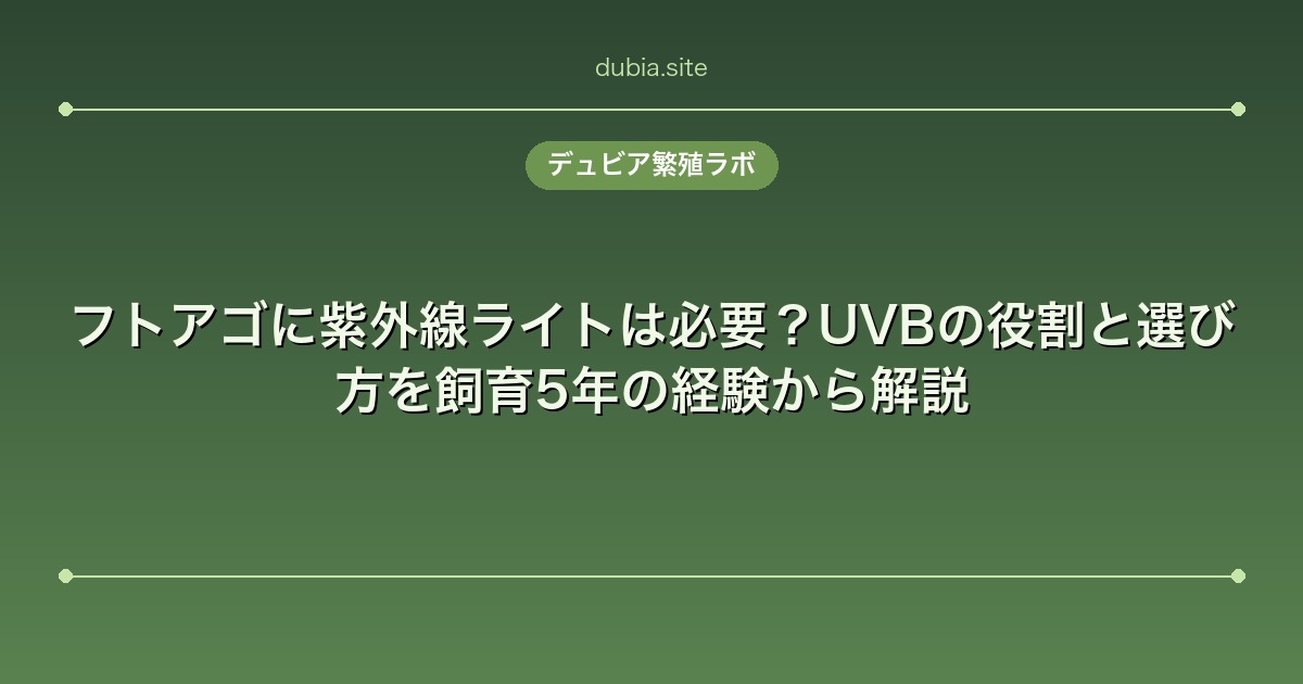 フトアゴに紫外線ライトは必要？UVBの役割と選び方を飼育5年の経験から解説