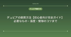 デュビアの飼育方法【初心者向け完全ガイド】必要なもの・温度・繁殖のコツまで
