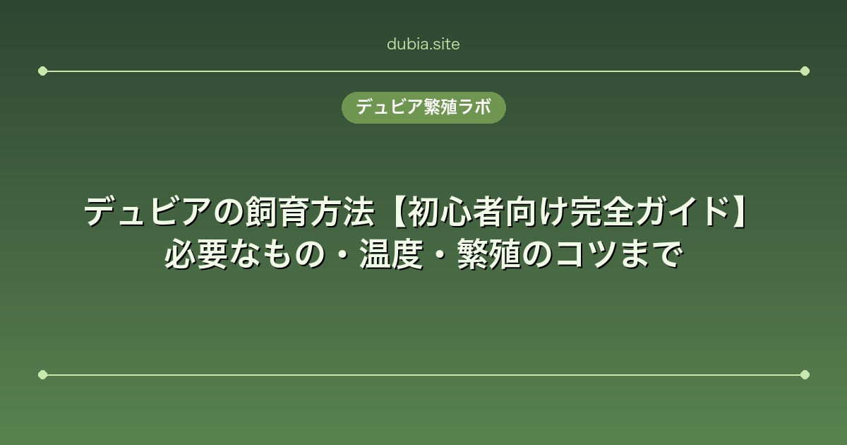 デュビアの飼育方法【初心者向け完全ガイド】必要なもの・温度・繁殖のコツまで