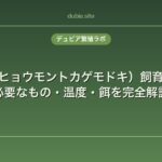 レオパ（ヒョウモントカゲモドキ）飼育方法入門｜必要なもの・温度・餌を完全解説