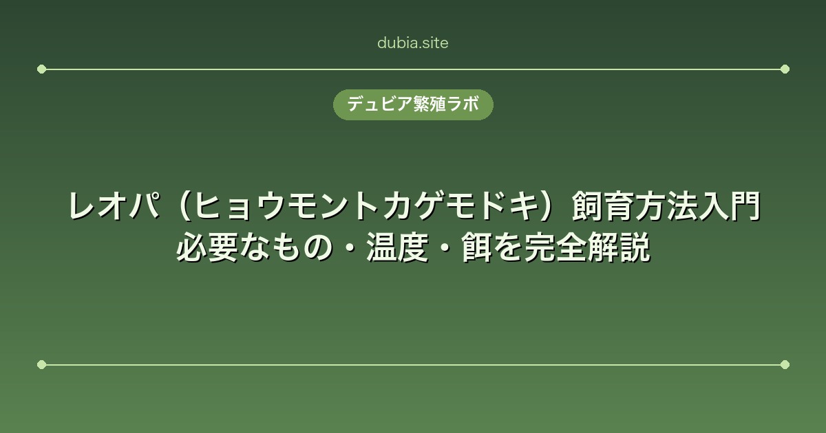 レオパ（ヒョウモントカゲモドキ）飼育方法入門｜必要なもの・温度・餌を完全解説