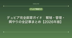 デュビア完全飼育ガイド｜繁殖・管理・餌やりの全記事まとめ【2026年版】