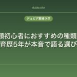 爬虫類初心者におすすめの種類10選｜飼育歴5年が本音で語る選び方